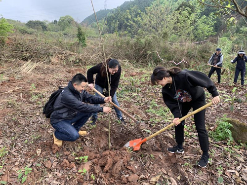 888集团游戏入口(中国)官方网站